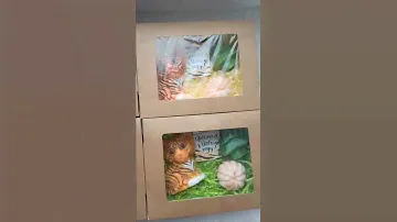 МЫЛОВАРЕНИЕ. ПОДАРОЧНЫЕ НАБОРЫ ИЗ МЫЛА