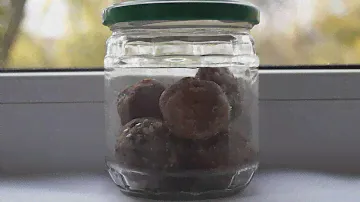 HFood конфеты финиковые ореховое ассорти. 25 grams (Assorted candies nut. 25 grams)