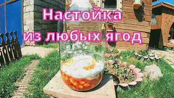 Наливка "Ассорти" из любых ягод. Домашний рецепт от А до Я по Сибирски.