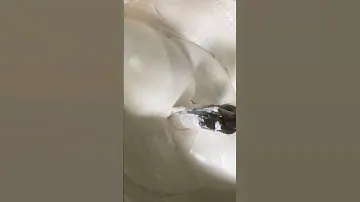 Оборудование для производства Рахат-лукума