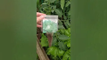 Теплица ассорти. Сад и огород