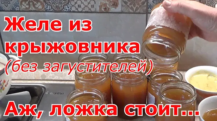 Желе из крыжовника на зиму без загустителей. Как приготовить желе из крыжовника. Пошаговый рецепт.