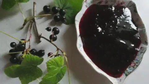 Вкусное Желе из чёрной Смородины за 10 минут. Желе из Смородины. Желе из ягод.
