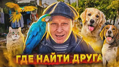 Собачий рынок Одесса. КОТЫ/ СОБАКИ. Пошли на БАРАХОЛКУ а купили ПОПУГАЯ.