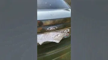 Распаковка пешманье