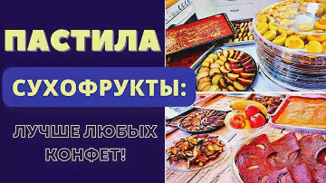 ПАСТИЛА И СУХОФРУКТЫ - АССОРТИ КОТОРЫМ ЗАБУДЕТЕ МАГАЗИННЫЕ СЛАДОСТИ! СУШУ В ДЕГИДРАТОРЕ И НА СОЛНЦЕ