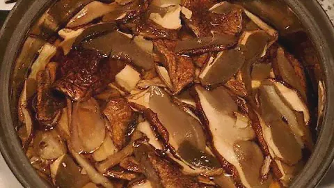 Как замачивать сушеные лесные грибы