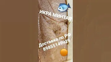 #икра #минтая 89855149929 #опт #камчатка #2023