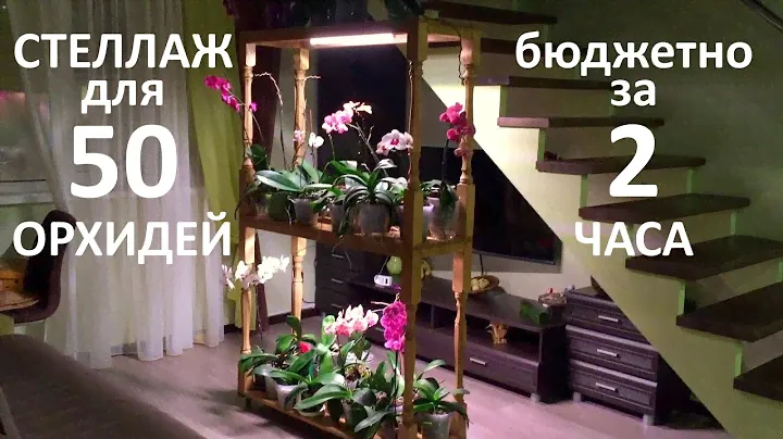 СТЕЛЛАЖ ДЛЯ ОРХИДЕЙ: МАТЕРИАЛЫ, 50 орхидей на 0,5 кв м