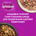 Whiskas Сухой корм для кошек старше 1 года Вкусные подушечки с нежным паштетом, аппетитное ассорти с курицей и индейкой, 350 гр.