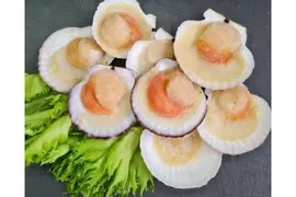Гребешок на створке Ассорти морепродуктов