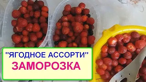 ЛУЧШИЙ СПОСОБ ЗАМОРОЗКИ ЯГОД! АССОРТИ.
