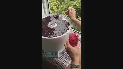Вкусная полезная ягодная пастила в сушилках EZIDRI