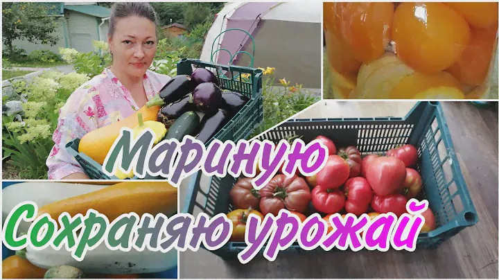 МАРИНОВАННОЕ АССОРТИ БЕЗ СТЕРИЛИЗАЦИИ | УРОЖАЙ УЖЕ НЕКУДА ДЕВАТЬ