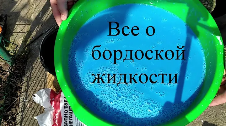 Бордоская смесь–ВСЕ секрети!!? #Бордоская #смесь #фунгицид