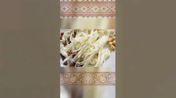 Топ самых вкусных сортов сыра из Армении