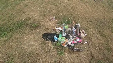 Свинья на реке осётр)