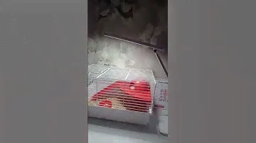 2 октября 2022 г.
