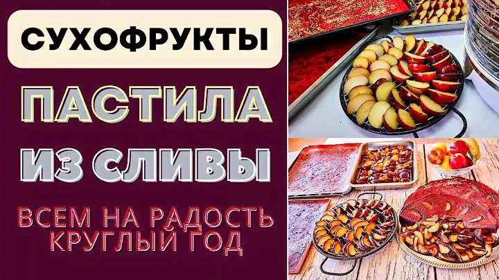 СУХОФРУКТЫ И ПАСТИЛА ИЗ СЛИВЫ - ВСЕМ НА РАДОСТЬ КРУГЛЫЙ ГОД! СУШУ В ДЕГИДРАТОРЕ И НА СОЛНЦЕ ტყლაპი