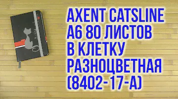 Распаковка Axent Catsline A6 80 листов Разноцветная 8402-17-А