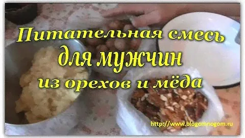 Питательная смесь для мужчин. Полезные свойства смеси из орехов с мёдом.